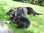 Mistral met Lexy